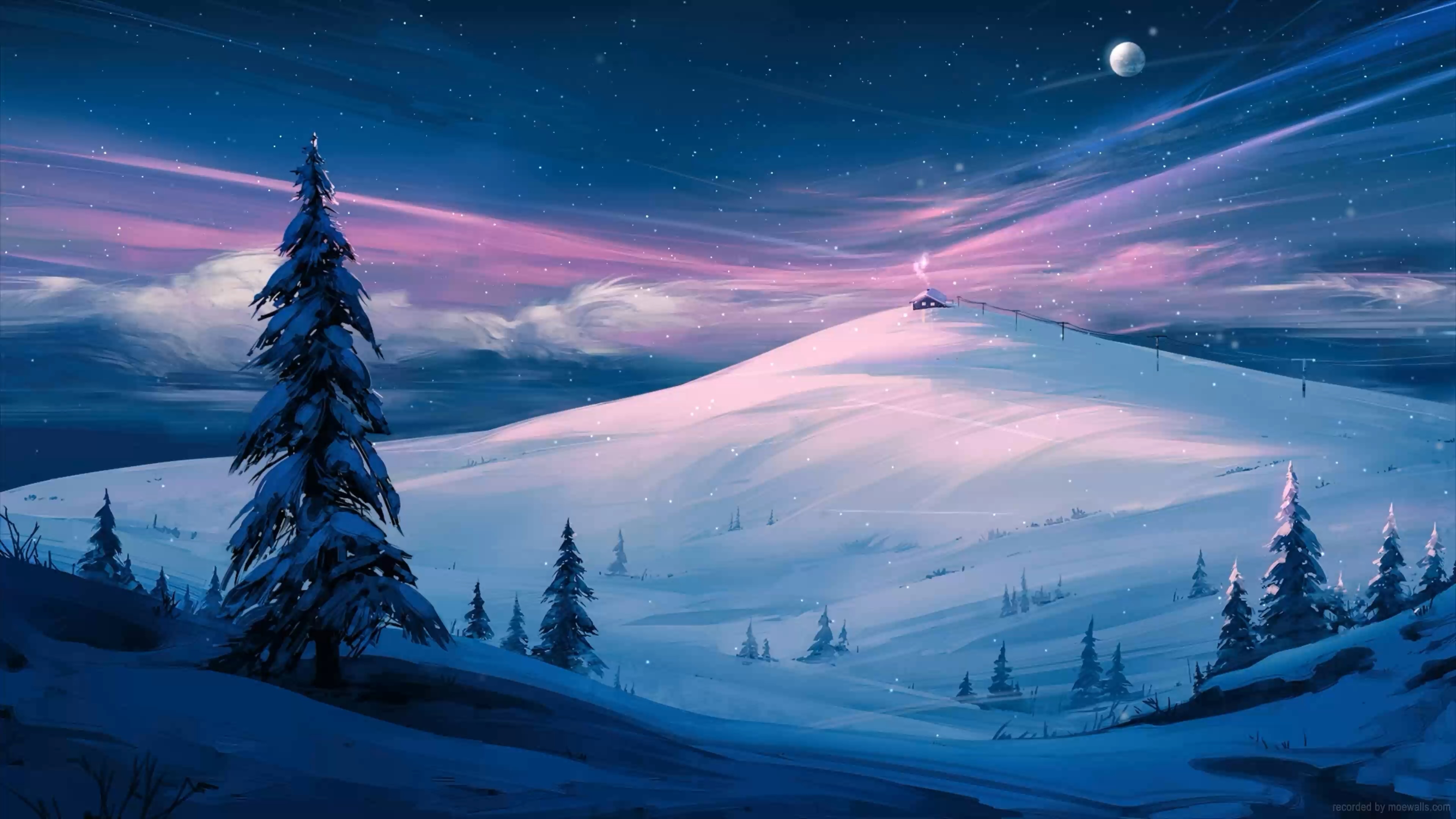 Wallpaper 55